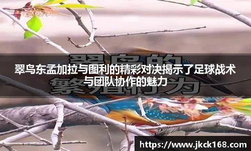 翠鸟东孟加拉与图利的精彩对决揭示了足球战术与团队协作的魅力